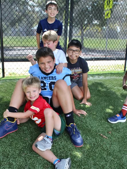 Program highlight